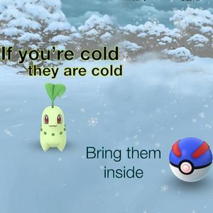 Meet your Posher, Kelley